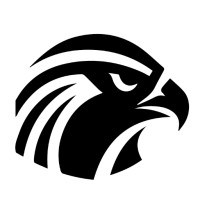 ShaheenML logo - Similar company to Techverz Solutions