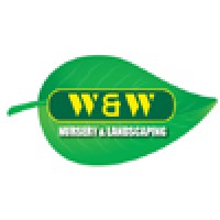 Dental Solutions of Binghamton