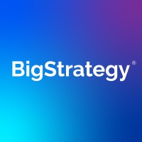 BigStrategy® logo - Similar company to Rank Agentive