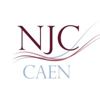 Normandie Junior Conseil logo - Similar company to Njc Paris
