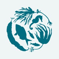Sussex Kelp Recovery Project logo - Similar company to Seawilding