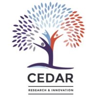 Cedar Insight logo - Similar company to Kino Design