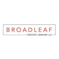 Broadleaf Forestry Company LLC logo - Similar company to Imagine Surfaces
