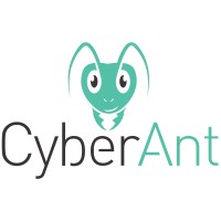 CyberAnt logo - Similar company to H2B It Solutions
