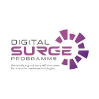 The Digital Surge Programme logo - Similar company to Digital Transformation Flexible Fund