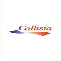 Callisia Ltd logo - Similar company to Datum Design And Build