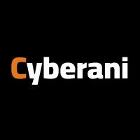Cyberani | سيبراني logo - Similar company to Damascus University
