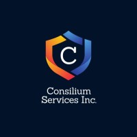 Consilium Services Inc.