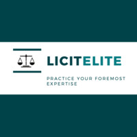 LicitElite logo - Similar company to Mediateguru