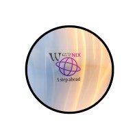 Wavenix logo - Similar company to Waveaxis