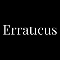 Erraticus logo - Similar company to Taio Type