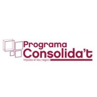 Programa Consolida't logo - Similar company to Cianegroup