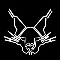 Wildcat logo - Similar company to Xr4Heritage