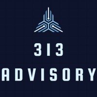 313 Advisory logo - Similar company to Novel Philosophy Academy