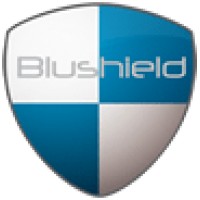 BluShield USA logo - Similar company to Usa Green Pc