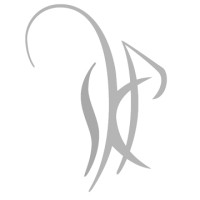 Patil Design Studio logo - Similar company to Tangerine Design Studio