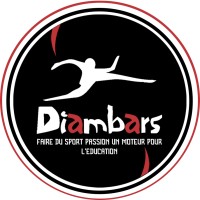 Diambars-Aquitaine logo - Similar company to Diambars Association