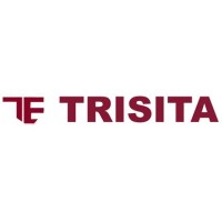 Trisita Engineering LLP logo - Similar company to Imagiminds Letsskill