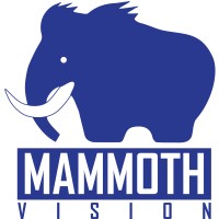 MammothVision Inc logo - Similar company to Aac Plus Inc.