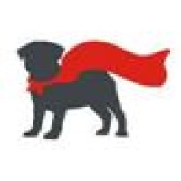 Underdog Business Strategies