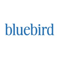 Bluebird Big Sky logo - Similar company to Raofactor Design House