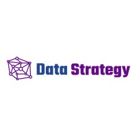 Data Strategy Dev logo - Similar company to Bronfman E.L. Rothschild Lp