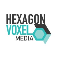 HEXAGON VOXEL logo - Similar company to Piclab3D
