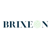 Brixeon logo - Similar company to 22-Soft