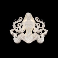Katie McIntyre Studio logo - Similar company to Dark Swan Institute