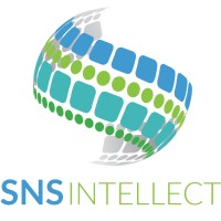 SNS Intellect logo - Similar company to Unblurred Web & Design