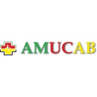 AMUCAB logo - Similar company to Izidok Travel & Academy