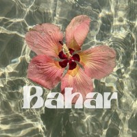 Bahar logo - Similar company to Meducators Uk