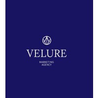 VELURE logo - Similar company to Trendyai