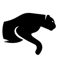 Black Cat Host LLC logo - Similar company to Lemonbyte Digital