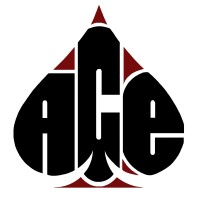 ACE Franchise Services logo - Similar company to Drivepoint