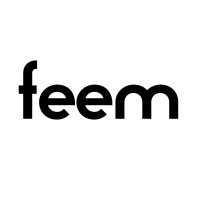 feem logo - Similar company to Etherforce Gmbh