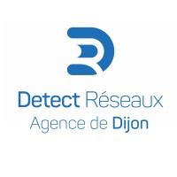 DETECT RESEAUX 21 - Agence de Dijon logo - Similar company to Nthd Ingénierie - Detect Réseaux Lorraine