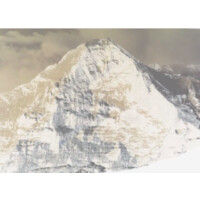 TK Health Solutions logo - Similar company to Scribr Health