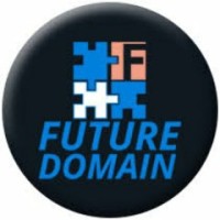 Future Domain Services Pvt. Ltd. logo - Similar company to Elements Talent