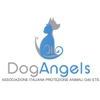 Dog Angels Associazione Italiana Protezione Animali OdV ETS logo - Similar company to Pet Net - Connessioni Metropolitane Tra Persone E Animali