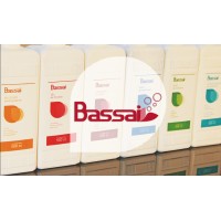ByS Econat - Bassai logo - Similar company to Ehrlich S.R.L.