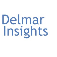 Delmar Insights logo - Similar company to Advanced Global Msp Coaching