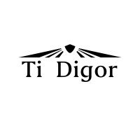 TI DIGOR logo - Similar company to Pikard