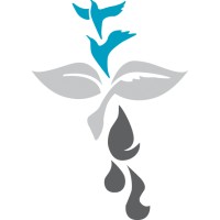 New Church Development Commission