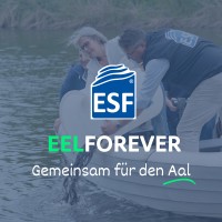 Aal-Initiative | Eel Stewardship Fund (ESF) logo - Similar company to Castro Seafood