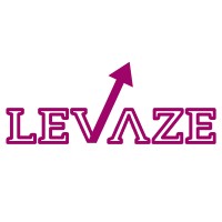 Levaze Digital logo - Similar company to Se Software & Web Developers