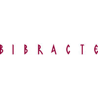 BIBRACTE EPCC logo - Similar company to X43C