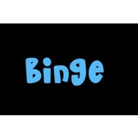 Binge Productions logo - Similar company to Paddicode Tech Academy