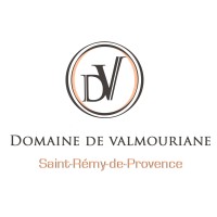 Domaine de Valmouriane logo - Similar company to La Bastide De Marie