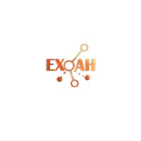 EXOAH LIMITED logo - Similar company to Conetwork